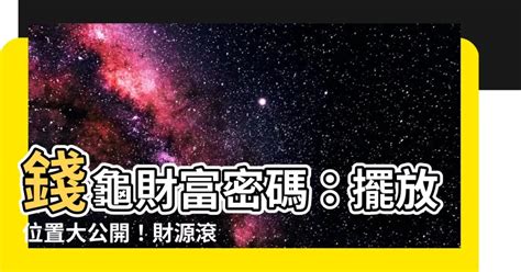 錢龜要放哪裡|錢龜怎麼放？財運亨通的擺放學問